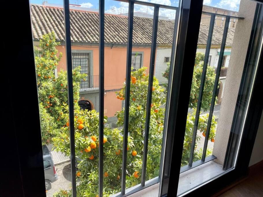 El Balcon De Los Naranjos Cordoue Extérieur photo